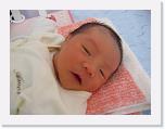 IMG_3051 * 2272 x 1704 * (1.18MB)