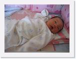 IMG_3078 * 2272 x 1704 * (1.23MB)