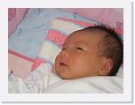 IMG_3079 * 2272 x 1704 * (1.8MB)