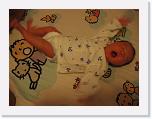 IMG_3088 * 2272 x 1704 * (1.45MB)