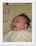 IMG_3220 * 2272 x 1704 * (1.71MB)