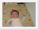 IMG_3221 * 2272 x 1704 * (1.34MB)