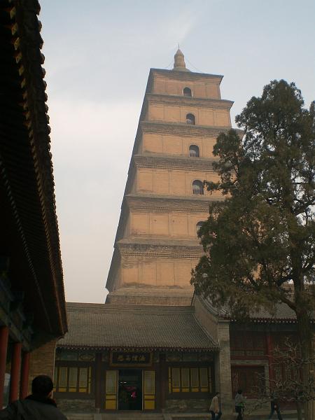 CIMG0977.JPG